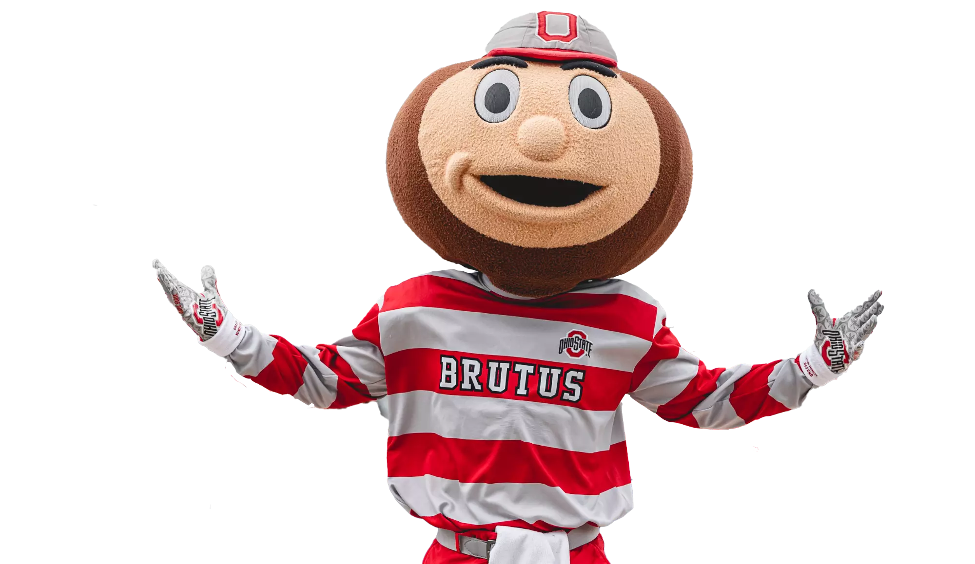 Brutus Buckeye